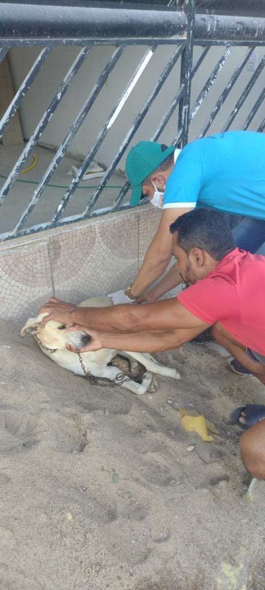 Camacã: Prefeitura realiza campanha de Vacinação antirrábica